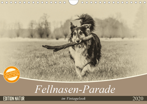 Fellnasen-Parade im Vintagelook (Wandkalender 2020 DIN A4 quer) von Teßen,  Sonja