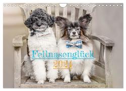 Fellnasenglück (Wandkalender 2024 DIN A4 quer), CALVENDO Monatskalender von - fotos,  boegau