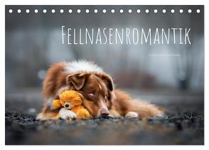 Fellnasenromantik (Tischkalender 2024 DIN A5 quer), CALVENDO Monatskalender von Dittmann,  Bettina