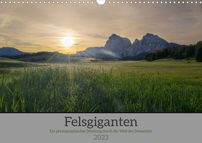Felsgiganten (Wandkalender 2023 DIN A3 quer) von A. R. Langlotz,  Markus