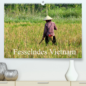 Fesselndes Vietnam (Premium, hochwertiger DIN A2 Wandkalender 2022, Kunstdruck in Hochglanz) von Voigt,  Vera