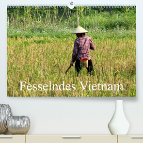 Fesselndes Vietnam (Premium, hochwertiger DIN A2 Wandkalender 2023, Kunstdruck in Hochglanz) von Voigt,  Vera