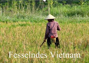 Fesselndes Vietnam (Wandkalender 2019 DIN A2 quer) von Voigt,  Vera