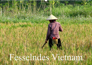 Fesselndes Vietnam (Wandkalender 2023 DIN A2 quer) von Voigt,  Vera