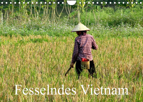 Fesselndes Vietnam (Wandkalender 2023 DIN A4 quer) von Voigt,  Vera