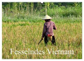 Fesselndes Vietnam (Wandkalender 2024 DIN A2 quer), CALVENDO Monatskalender von Voigt,  Vera