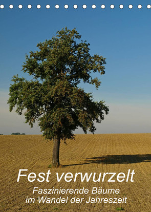 Fest verwurzelt – Faszinierende Bäume im Wandel der Jahreszeit (Tischkalender 2023 DIN A5 hoch) von Brigitte Deus-Neumann,  Dr.