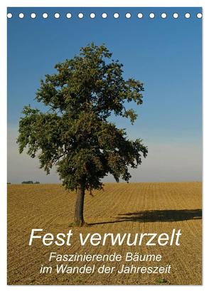 Fest verwurzelt – Faszinierende Bäume im Wandel der Jahreszeit (Tischkalender 2024 DIN A5 hoch), CALVENDO Monatskalender von Brigitte Deus-Neumann,  Dr.