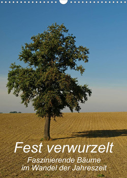Fest verwurzelt – Faszinierende Bäume im Wandel der Jahreszeit (Wandkalender 2023 DIN A3 hoch) von Brigitte Deus-Neumann,  Dr.