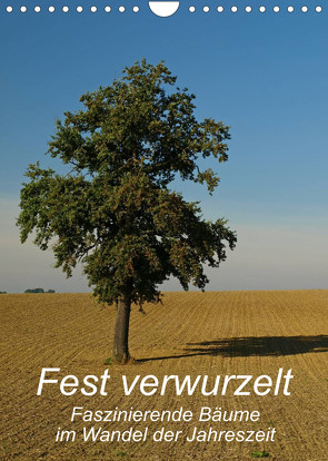 Fest verwurzelt – Faszinierende Bäume im Wandel der Jahreszeit (Wandkalender 2023 DIN A4 hoch) von Brigitte Deus-Neumann,  Dr.