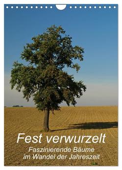 Fest verwurzelt – Faszinierende Bäume im Wandel der Jahreszeit (Wandkalender 2024 DIN A4 hoch), CALVENDO Monatskalender von Brigitte Deus-Neumann,  Dr.