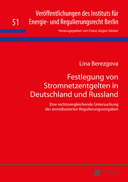Festlegung von Stromnetzentgelten in Deutschland und Russland von Berezgova,  Lina