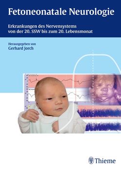 Fetoneonatale Neurologie von Jorch,  Gerhard