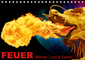 Feuer • Wärme, Licht & Gefahr (Tischkalender 2021 DIN A5 quer) von Stanzer,  Elisabeth