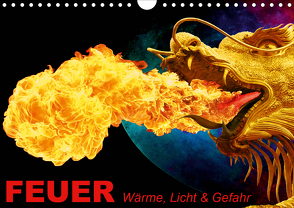 Feuer • Wärme, Licht & Gefahr (Wandkalender 2021 DIN A4 quer) von Stanzer,  Elisabeth
