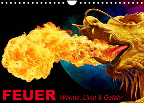 Feuer • Wärme, Licht & Gefahr (Wandkalender 2023 DIN A4 quer) von Stanzer,  Elisabeth