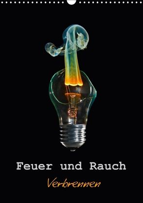 Feuer und Rauch Verbrennen (Wandkalender 2018 DIN A3 hoch) von Rajbar,  Ludvik