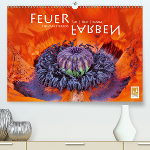 FEUERFARBEN Rot ~ Red ~ Rouge (Premium, hochwertiger DIN A2 Wandkalender 2021, Kunstdruck in Hochglanz) von Herzog,  Thomas, www.bild-erzaehler.com