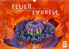 FEUERFARBEN Rot ~ Red ~ Rouge (Wandkalender 2022 DIN A3 quer) von Herzog,  Thomas, www.bild-erzaehler.com