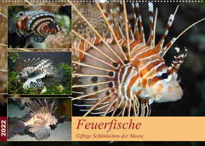 Feuerfische – Giftige Schönheiten der Meere (Wandkalender 2022 DIN A2 quer) von Mielewczyk,  B.