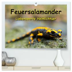 Feuersalamander – Liebenswerte Heimlichtuer (hochwertiger Premium Wandkalender 2024 DIN A2 quer), Kunstdruck in Hochglanz von Vahldiek,  Carola
