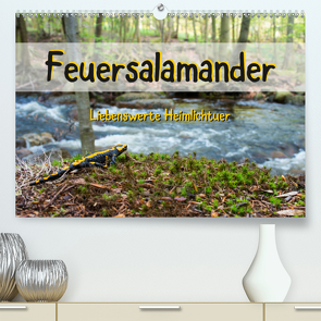 Feuersalamander – Liebenswerte Heimlichtuer (Premium, hochwertiger DIN A2 Wandkalender 2020, Kunstdruck in Hochglanz) von Vahldiek,  Carola