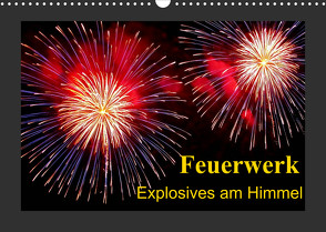 Feuerwerk – Explosives am Himmel (Wandkalender 2022 DIN A3 quer) von Steinbrenner,  Ulrike