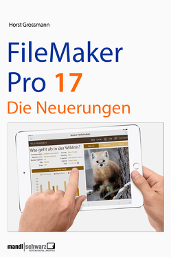 FileMaker Pro 17 von Grossmann,  Horst
