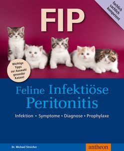 FIP  Feline Infektiöse Peritonitis von Streicher,  Michael