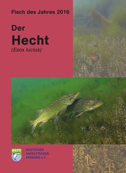 Der Hecht (Esox lucius) von Autorengruppe,  Autorengruppe