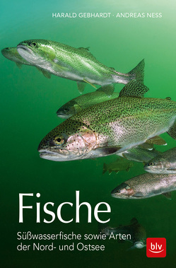 Fische von Gebhardt,  Harald, Ness,  Andreas