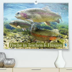 Fische in Teichen und Flüssen (Premium, hochwertiger DIN A2 Wandkalender 2023, Kunstdruck in Hochglanz) von CALVENDO