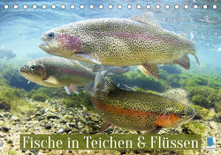Fische in Teichen und Flüssen (Tischkalender 2023 DIN A5 quer) von CALVENDO