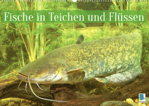Fische in Teichen und Flüssen (Wandkalender 2022 DIN A2 quer) von CALVENDO