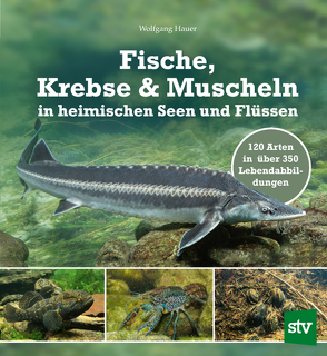 Fische, Krebse & Muscheln in heimischen Seen und Flüssen von Hauer,  Wolfgang