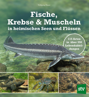 Fische, Krebse & Muscheln in heimischen Seen und Flüssen von Hauer,  Wolfgang