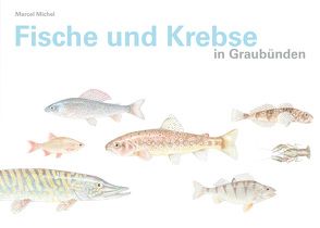 Fische und Krebse in Graubünden von Michel,  Marcel