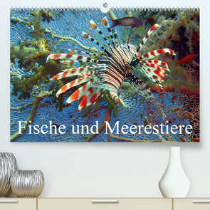 Fische und Meerestiere (Premium, hochwertiger DIN A2 Wandkalender 2021, Kunstdruck in Hochglanz) von Stanzer,  Elisabeth