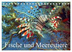 Fische und Meerestiere (Tischkalender 2024 DIN A5 quer), CALVENDO Monatskalender von Stanzer,  Elisabeth