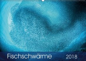 Fischschwärme (Wandkalender 2018 DIN A2 quer) von Jager,  Henry
