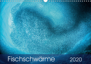 Fischschwärme (Wandkalender 2020 DIN A3 quer) von Jager,  Henry