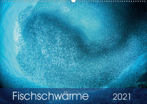 Fischschwärme (Wandkalender 2021 DIN A2 quer) von Jager,  Henry