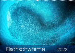 Fischschwärme (Wandkalender 2022 DIN A2 quer) von Jager,  Henry