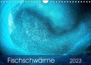 Fischschwärme (Wandkalender 2023 DIN A4 quer) von Jager,  Henry