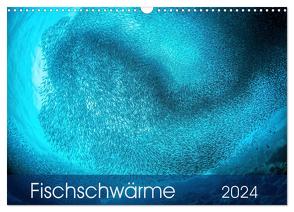 Fischschwärme (Wandkalender 2024 DIN A3 quer), CALVENDO Monatskalender von Jager,  Henry
