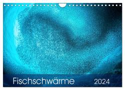 Fischschwärme (Wandkalender 2024 DIN A4 quer), CALVENDO Monatskalender von Jager,  Henry