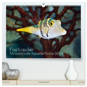 Fischzauber – Wundervolle Aquarienfische (hochwertiger Premium Wandkalender 2024 DIN A2 quer), Kunstdruck in Hochglanz von Plett,  Rainer