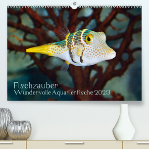 Fischzauber – Wundervolle Aquarienfische (Premium, hochwertiger DIN A2 Wandkalender 2023, Kunstdruck in Hochglanz) von Plett,  Rainer