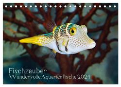 Fischzauber – Wundervolle Aquarienfische (Tischkalender 2024 DIN A5 quer), CALVENDO Monatskalender von Plett,  Rainer