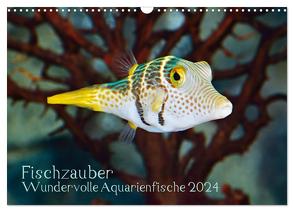 Fischzauber – Wundervolle Aquarienfische (Wandkalender 2024 DIN A3 quer), CALVENDO Monatskalender von Plett,  Rainer